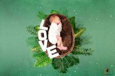 Chloé DUFLOT - PLAISIR PHOTO